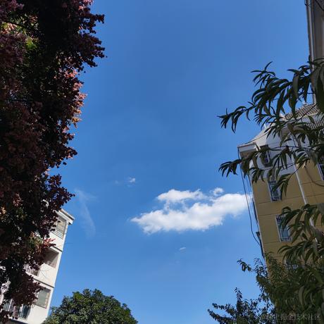 来自艾欧尼亚的最强王者于2022-10-03 18:07发布的图片