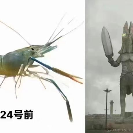 前端的小小菜鸟于2023-08-24 16:31发布的图片
