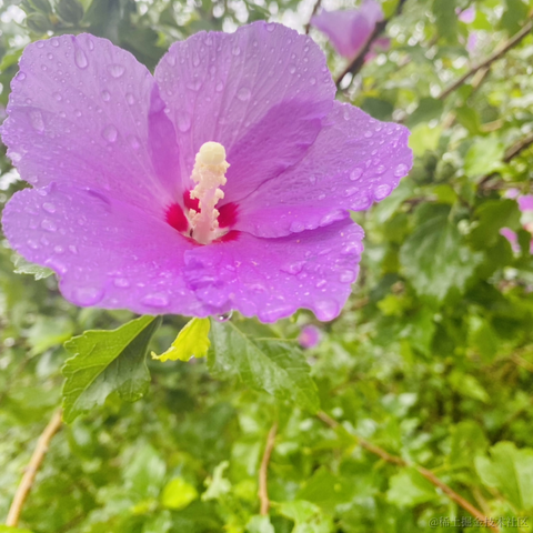 摄氏40度于2021-09-14 10:56发布的图片