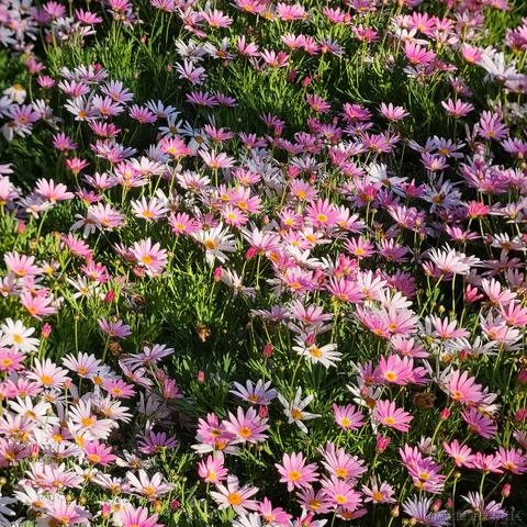 denki白蘭于2022-11-26 11:35发布的图片