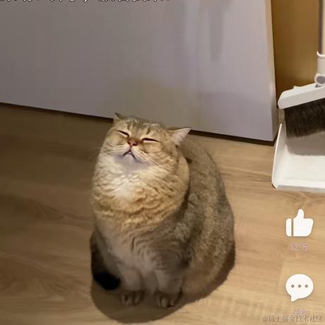 一只爱敲代码的少女于2022-06-24 10:33发布的图片