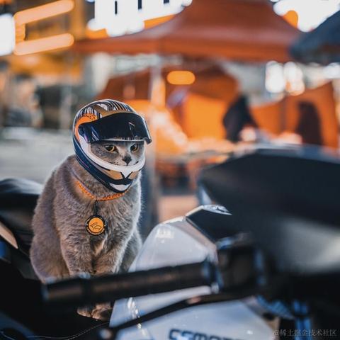 ShaderJoy于2022-03-03 06:14发布的图片