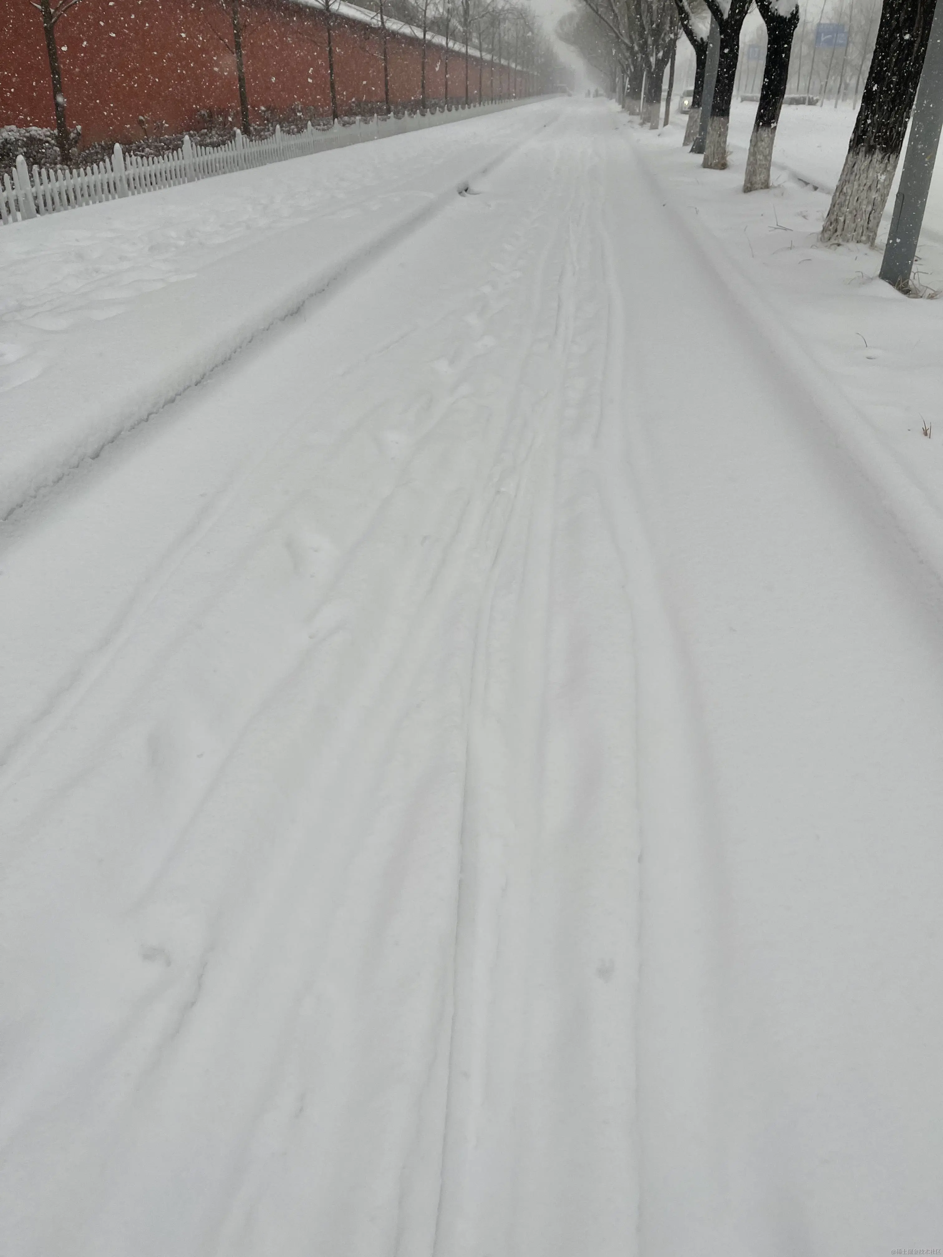 2022年2月份 大雪纷飞.jpg