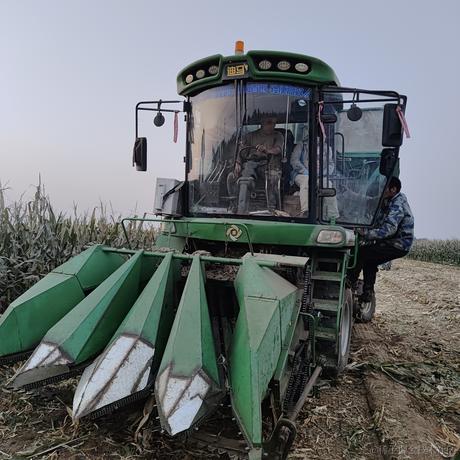 沈麽鬼于2022-10-06 17:55发布的图片