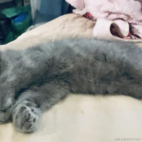 想要考公的小前端于2022-06-15 09:29发布的图片