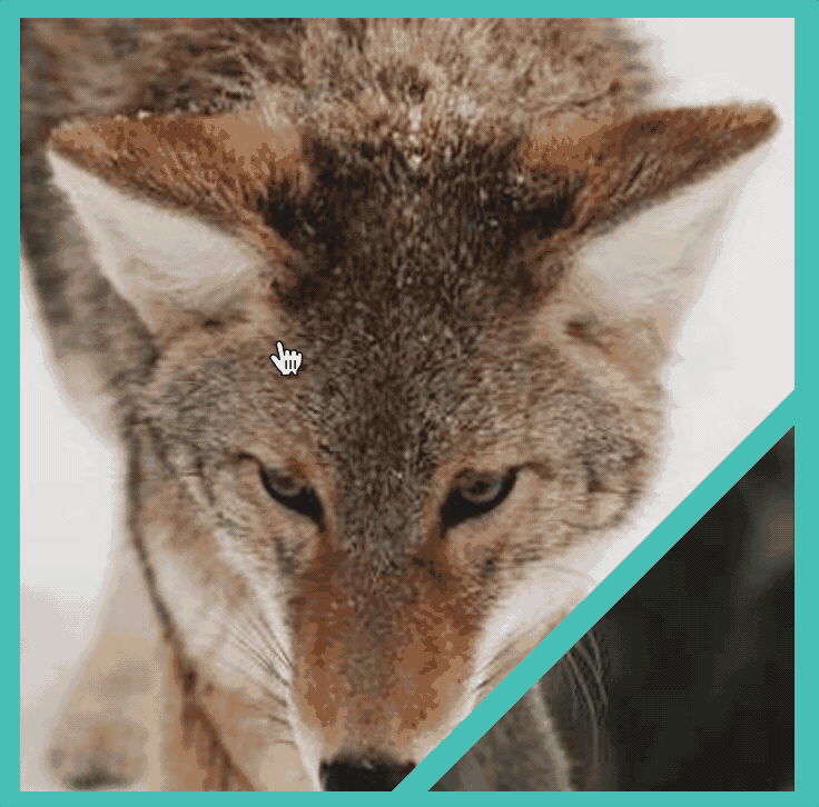 南城FE于2022-12-12 11:13发布的图片