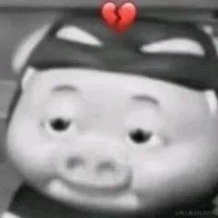 当我没来过于2023-03-24 15:20发布的图片