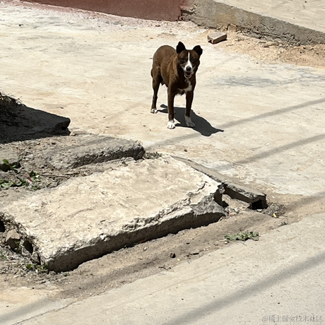 ank睡不醒于2023-05-03 23:01发布的图片