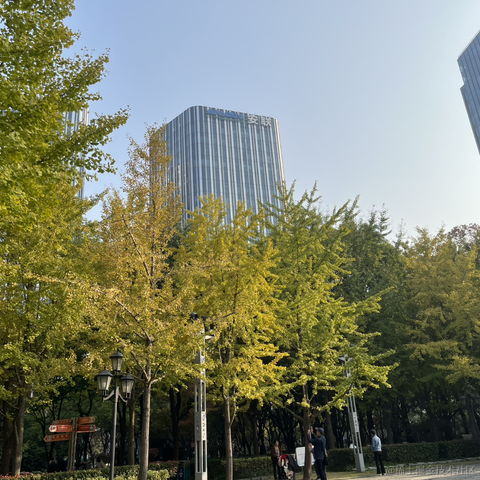 _wow于2023-12-05 10:40发布的图片