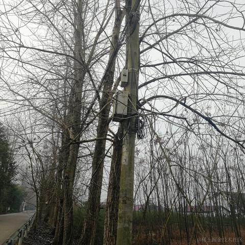 TheWQ于2022-07-06 10:05发布的图片