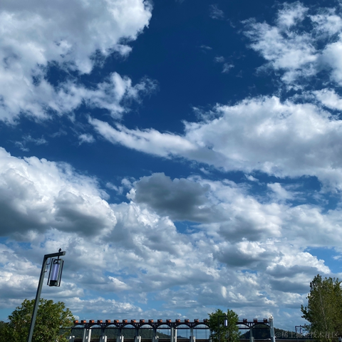 宁在春于2022-10-02 15:57发布的图片