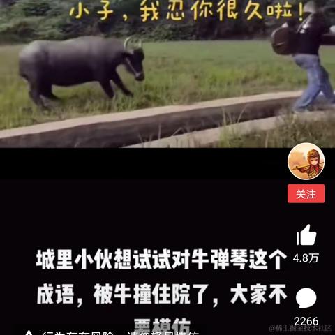 Alvin305于2021-11-17 15:00发布的图片