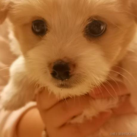 永远向上前进的于2022-11-18 08:32发布的图片