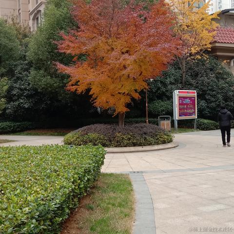 Tom难移于2022-11-28 07:50发布的图片