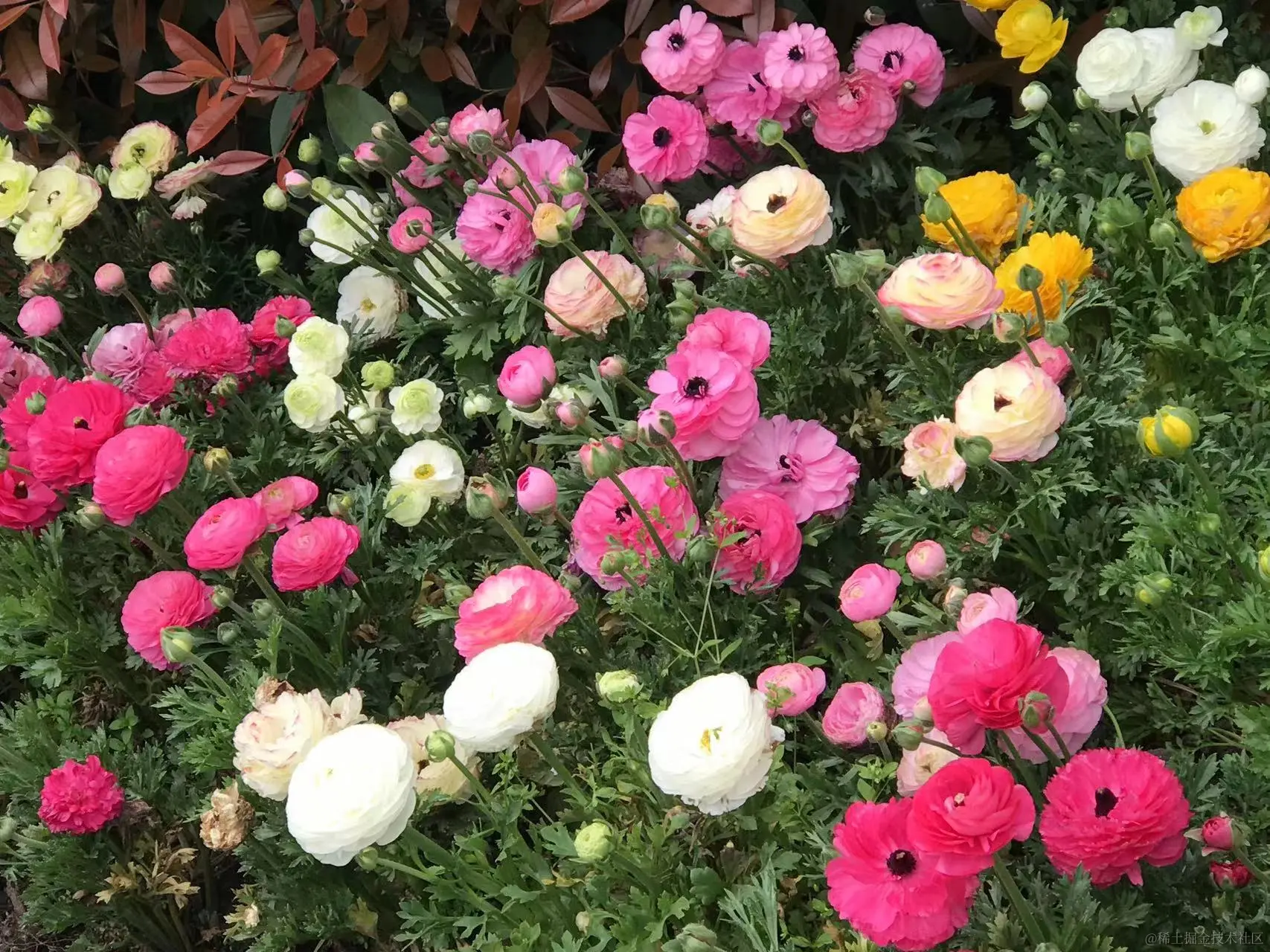 d9800fc913d5151b567c9c50a90d601.jpg