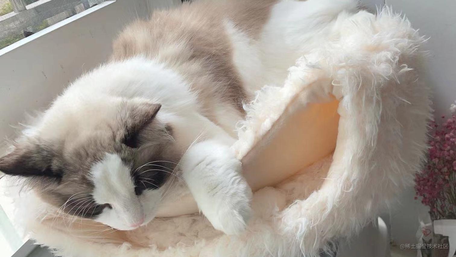 GitHub Pages如何部署Vite项目 掘金