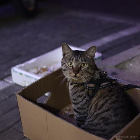 锅子里的小油渣于2020-10-08 03:54发布的图片