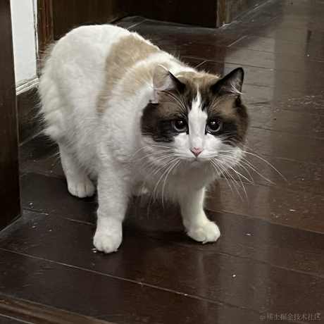 懵懂少年MrCh于2022-11-28 16:04发布的图片