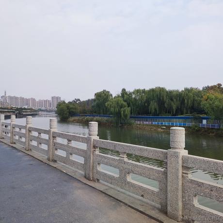 贝拉的晃悠悠于2022-11-12 10:20发布的图片