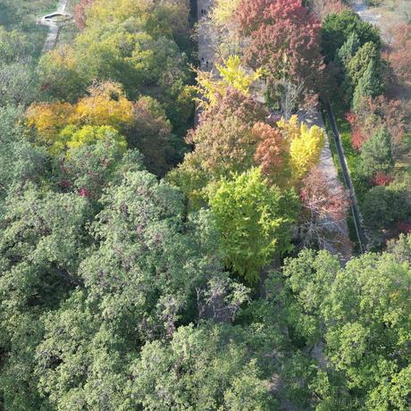 kan5212于2022-12-15 00:35发布的图片