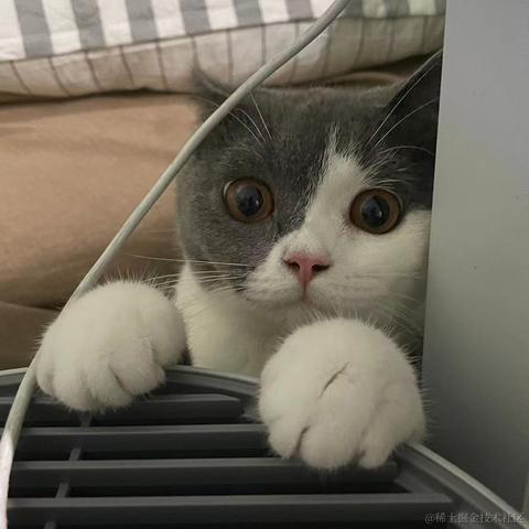 Livingbody于2021-10-27 19:22发布的图片