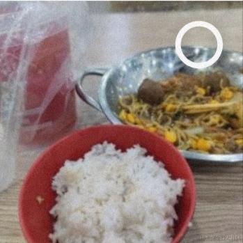 然然和嘉心糖于2022-12-02 03:09发布的图片