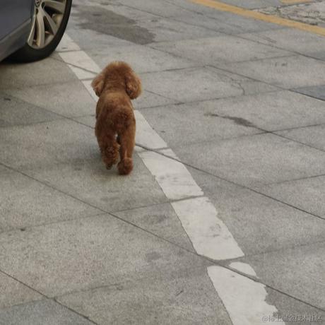 小琳天天开心于2022-11-28 08:18发布的图片