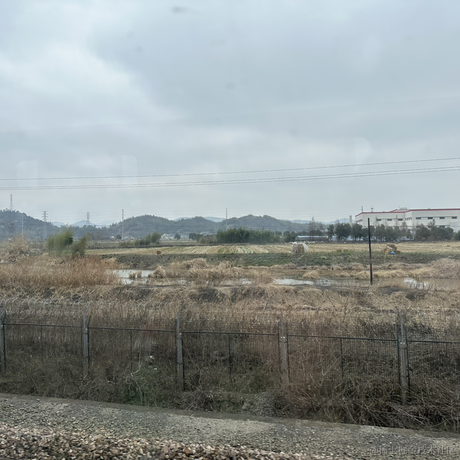 Dog_egg于2024-02-05 13:36发布的图片