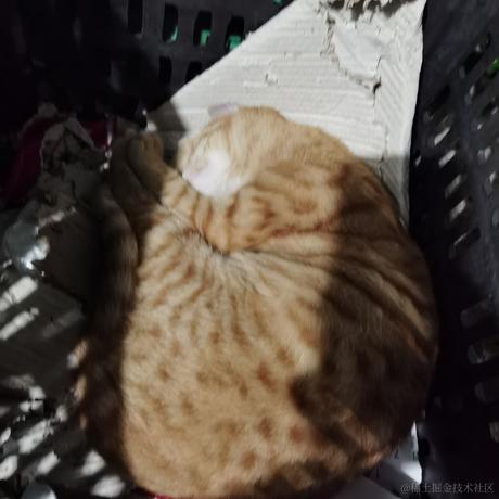 西瓜太郎95237于2022-11-26 23:17发布的图片