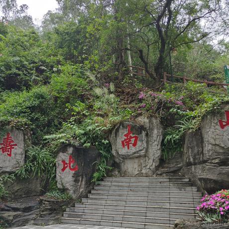 joker的配拉唢纳于2022-11-23 13:18发布的图片