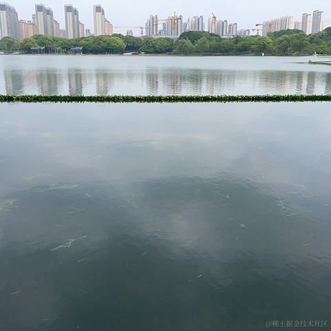 Methy于2024-04-29 13:38发布的图片