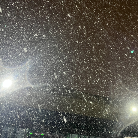 乃宝贴贴于2023-06-24 01:28发布的图片