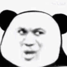鸭鸭世界第一可爱于2022-11-04 10:43发布的图片