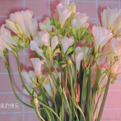 已注销于2021-03-12 20:03发布的图片
