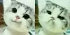sprites.png
