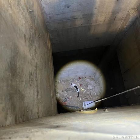 潜水摸鱼于2023-09-01 16:09发布的图片