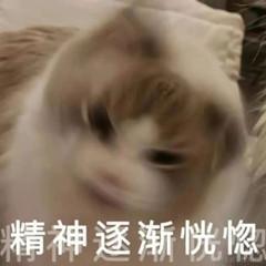 十点多交流于2023-03-13 09:02发布的图片