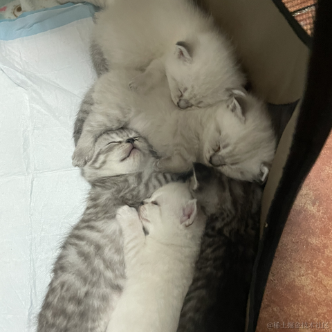 划水工程师_于2021-03-19 14:47发布的图片