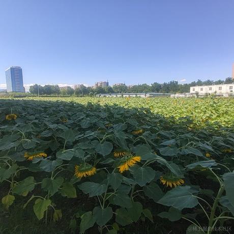 带带大嘉然于2022-11-17 14:41发布的图片