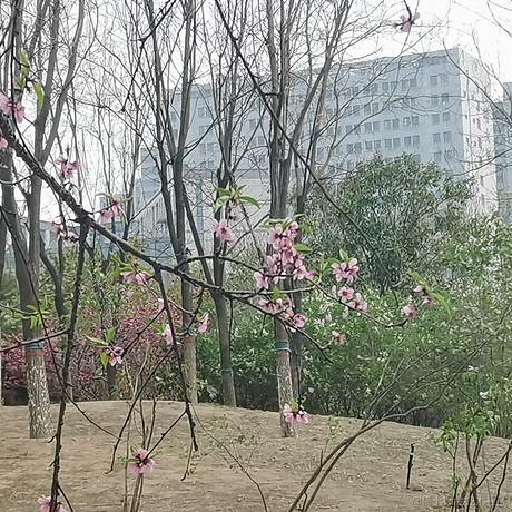 不可思于2023-04-03 09:53发布的图片