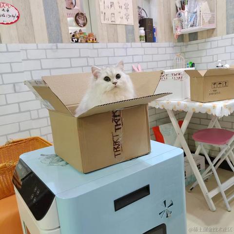 龍佛于2023-06-02 14:11发布的图片