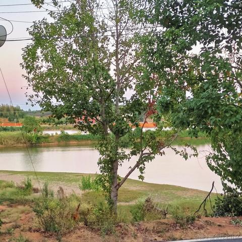 ying7于2022-10-02 09:25发布的图片