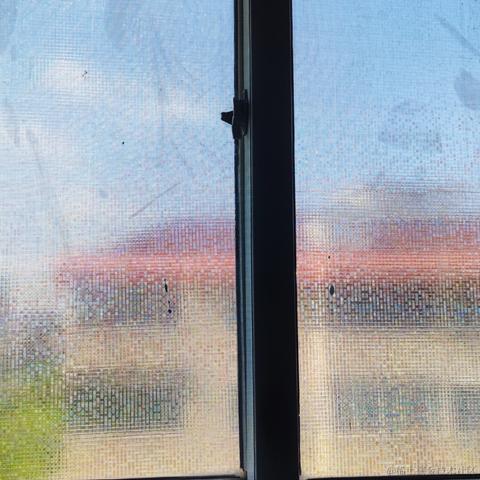 HelloWonder于2021-08-08 15:07发布的图片