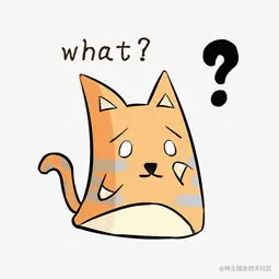 what.gif