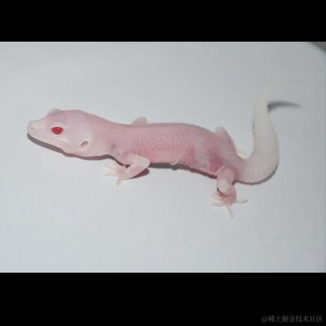 蹄蹄于2022-11-22 15:19发布的图片