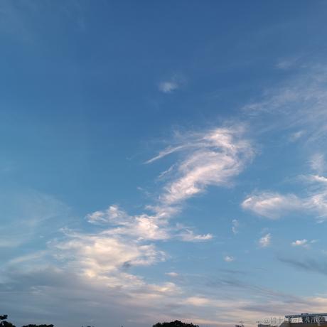 然然今天吃雪莲于2023-06-27 19:22发布的图片