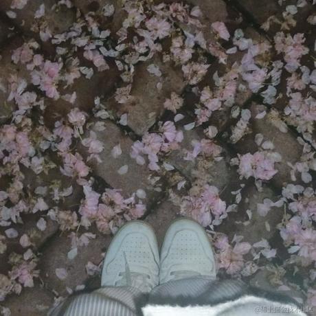 用户1253133568484于2023-04-14 23:21发布的图片