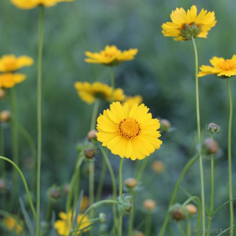 tangdou369098655于2022-05-25 15:11发布的图片