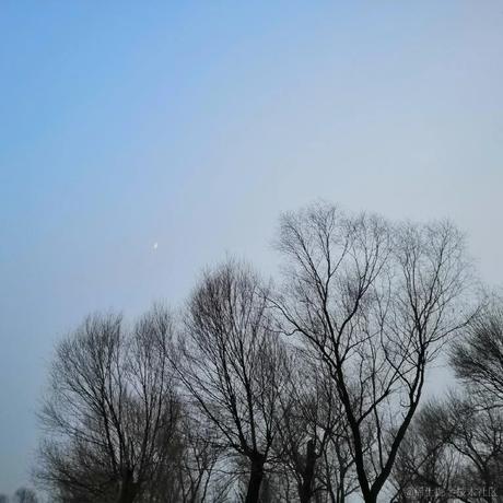 SsIi于2022-11-30 17:30发布的图片