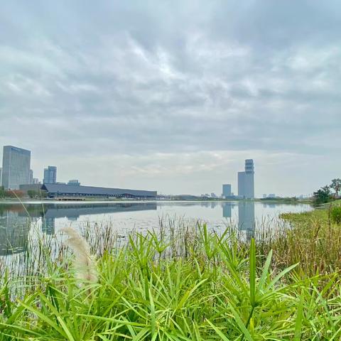 浓情chocolate于2022-11-12 19:28发布的图片